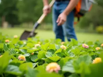 Effective Weed Management Strategies