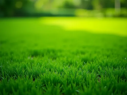 Professional Weed Control